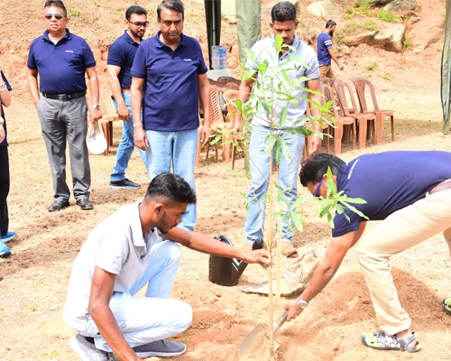 Tree planting drive