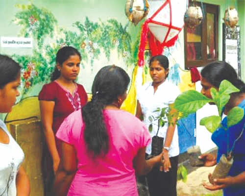 Tree planting drive